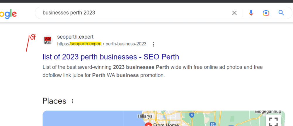 Businesses Perth SERP.