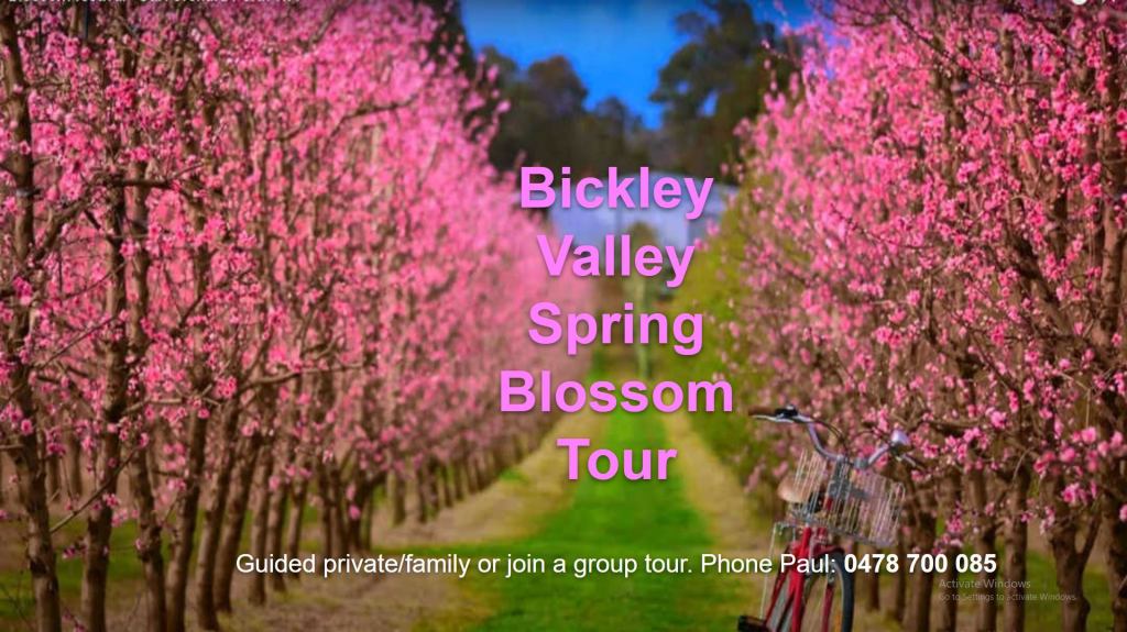 Bickley Valley spring blossom tour in Perth Hills.