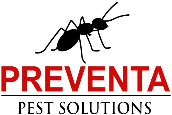 Pest control services Perth.
